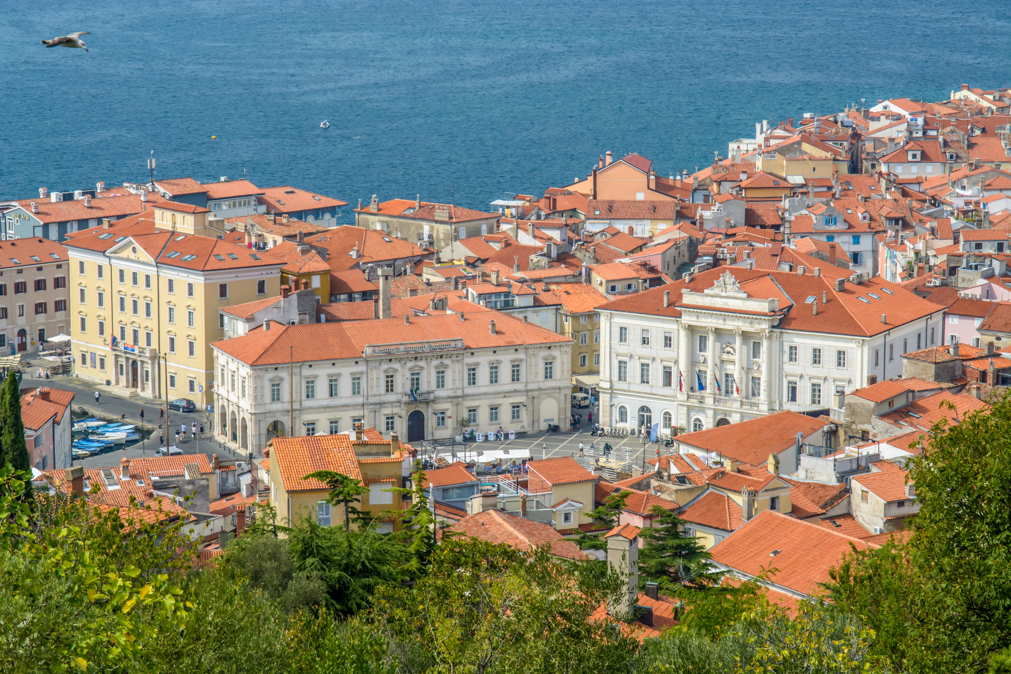 Kako so nepremičnine Primorska uresničile otroške sanje